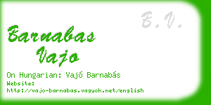 barnabas vajo business card