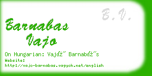 barnabas vajo business card